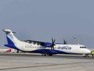 Indigo